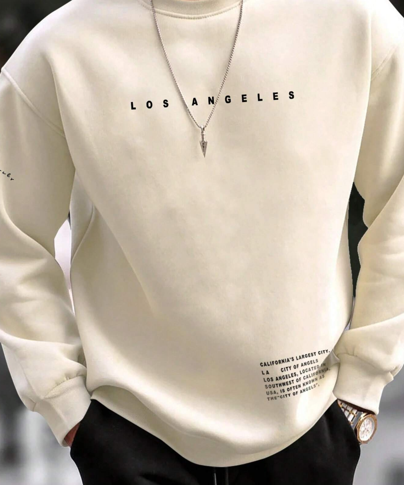 Men Slogan Graphic Sweatshirt