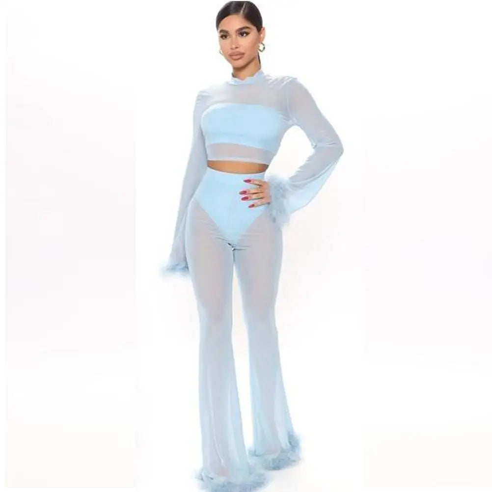 Women's Two-Piece Set: Feathers Trim Mesh See-Through Pants Outfits + O-Neck Long Sleeve T-Shirt, 2025 Summer Sexy Baddie Clothes